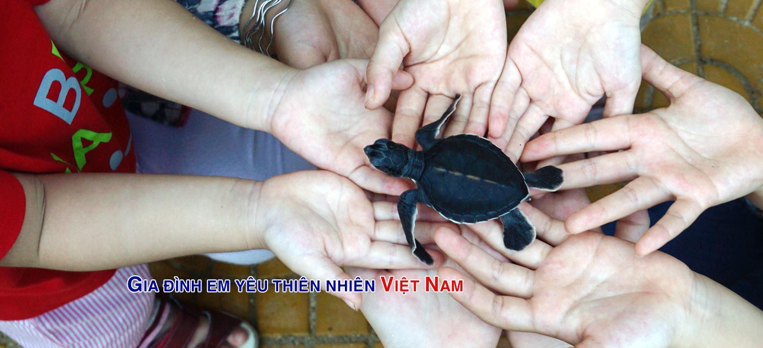 Gia đình em yêu thiên nhiên